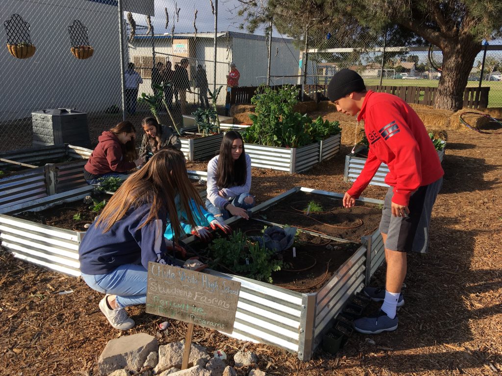 CVHS students working the garden box