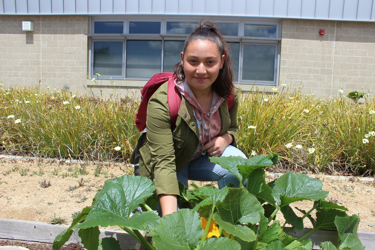 Student with zucchini plant